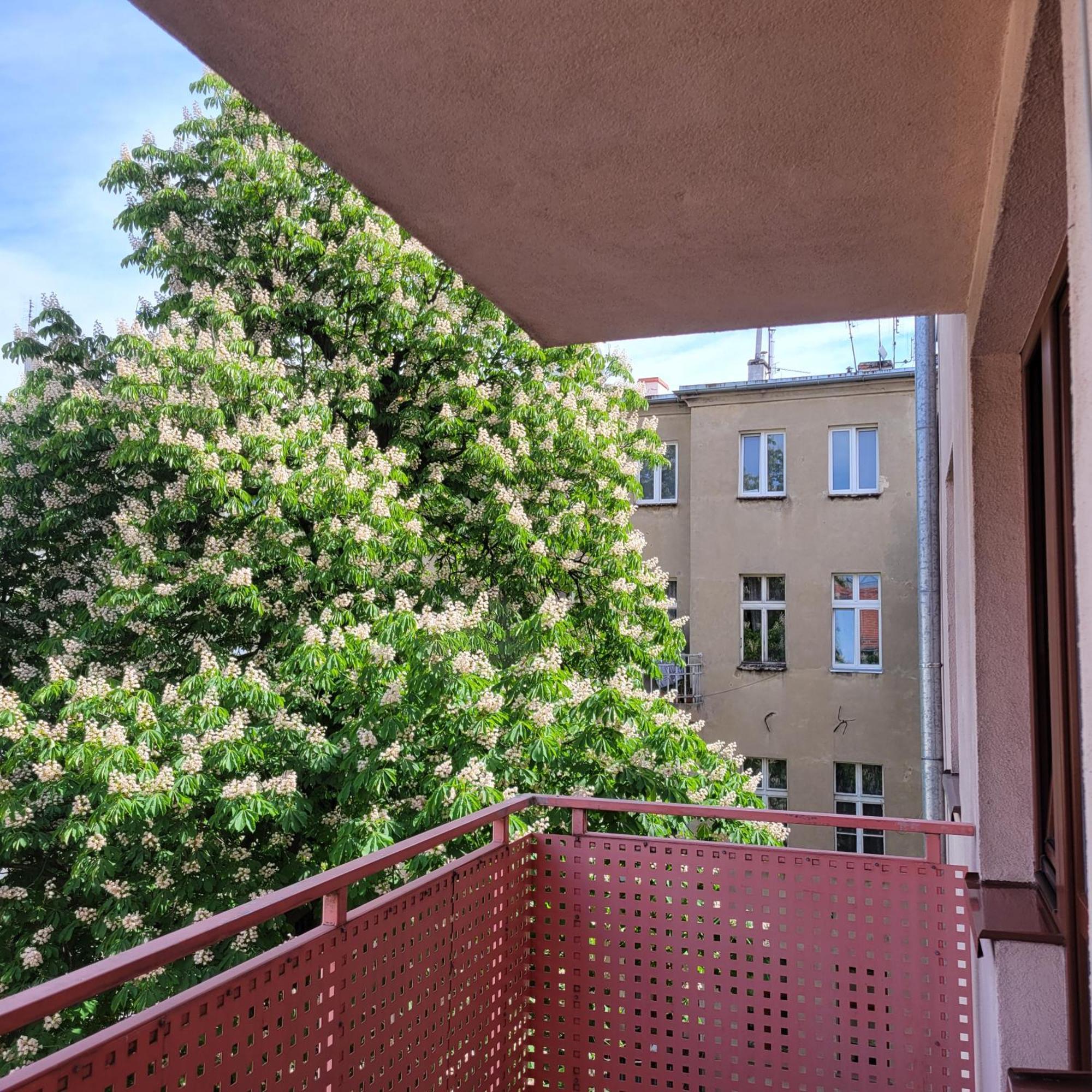 Apartment Aura *